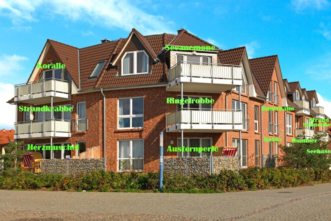 Haus Suedwester Koralle Insel Poel Exteriér fotografie