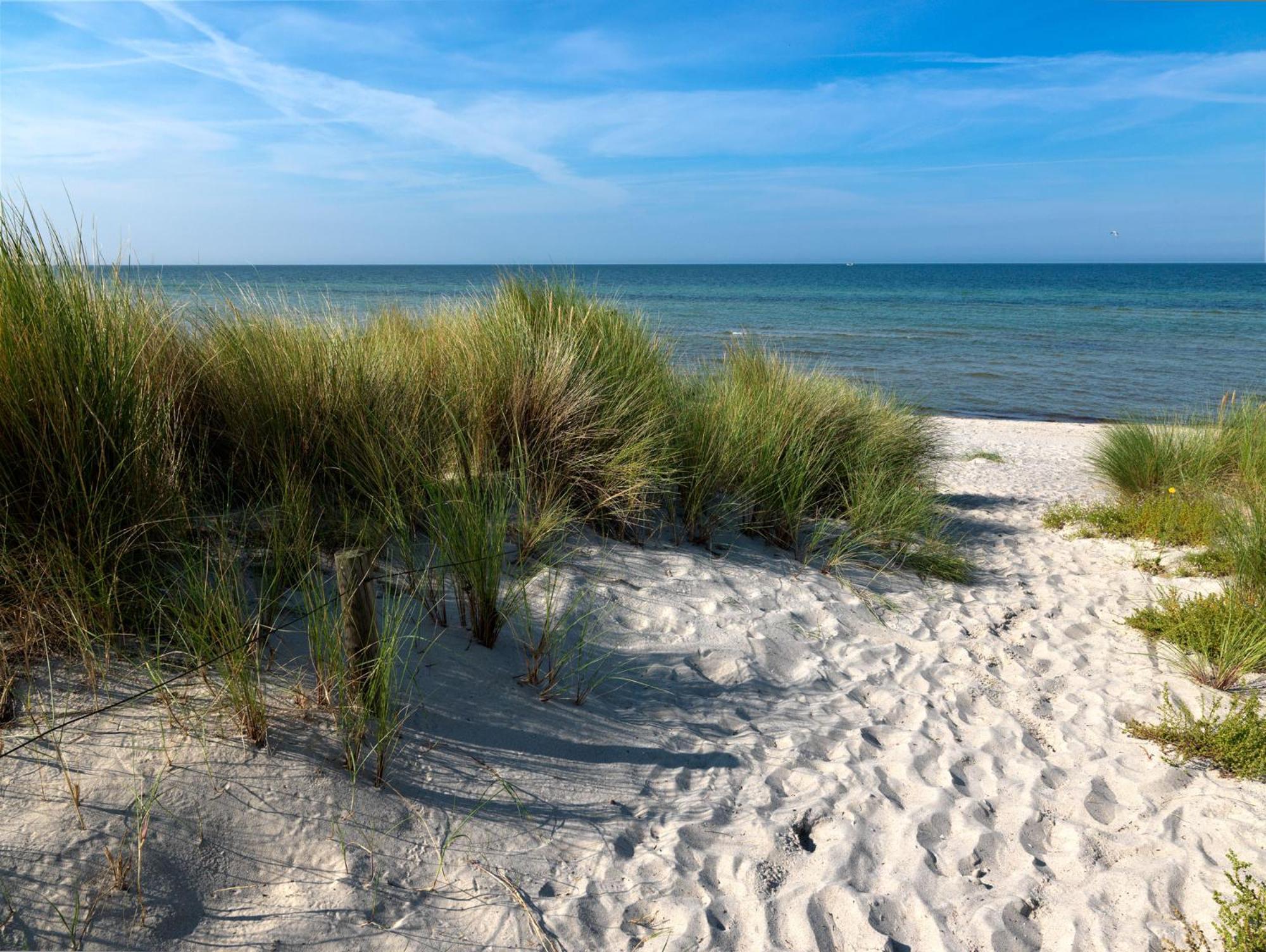 Haus Suedwester Koralle Insel Poel Exteriér fotografie